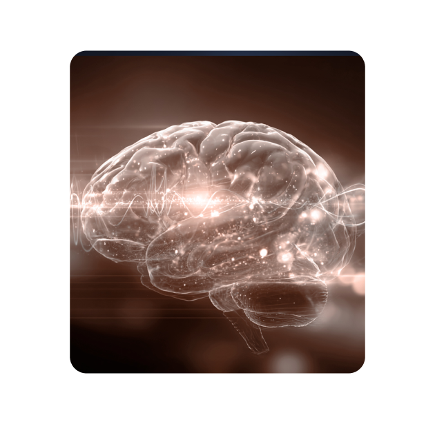 Máster de Formación Permanente en Medicina del Sueño